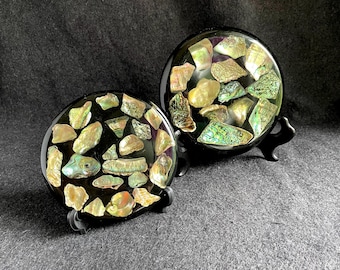 Abalone Shell Trivets