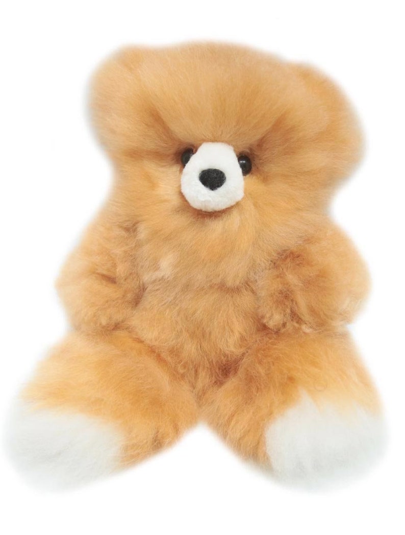 alpaca wool teddy