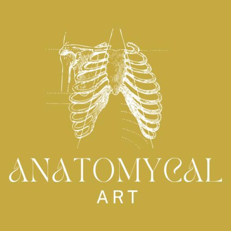 Diseases of Digestive System Chart Anatomy Human Physiology Charts