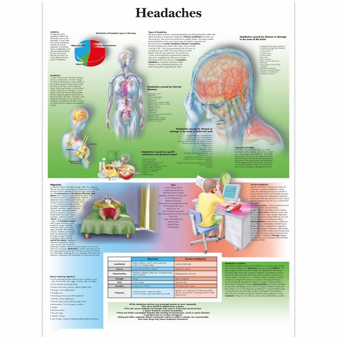 headaches-chart-anatomy-human-physiology-charts-medical-student-wall
