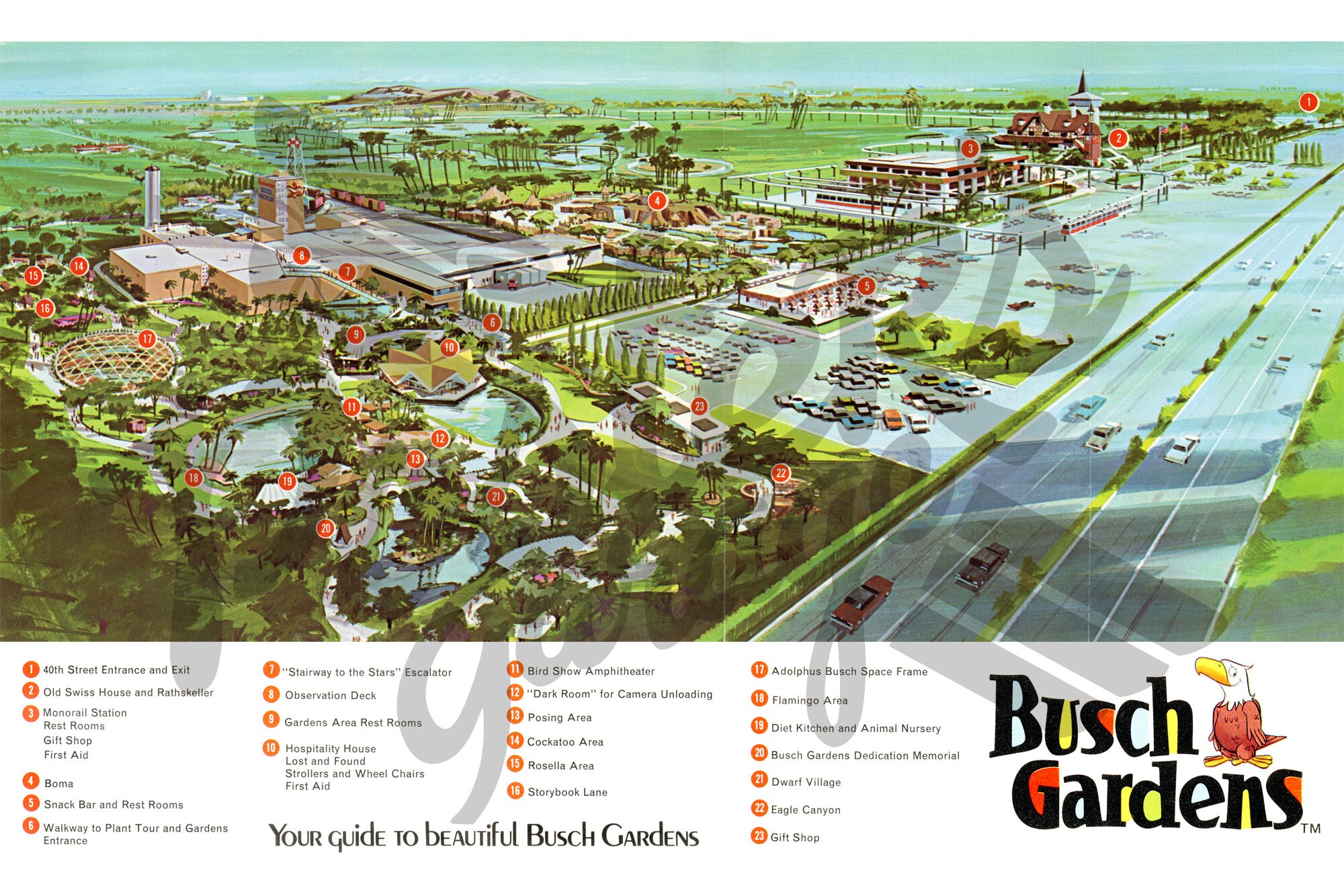 Vintage 1970 Busch Gardens Park Map Poster 24 x 36 or | Etsy