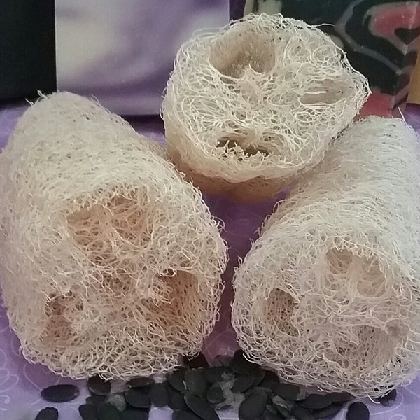 Loofah Body Sponge - Organic, Non-GMO, Heirloom, Farm Grown, Non-treated, 100% Natural