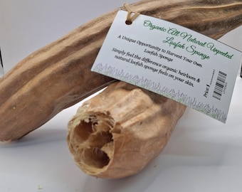 Éponge de luffa entière biologique - Non transformé, sans OGM, héritage