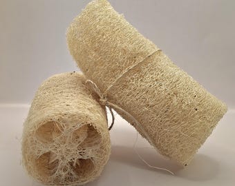 Loofah Body Sponge - Organic, Non-GMO, Heirloom, Farm Grown, Non-treated, 100% Natural