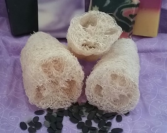 Loofah Sponge - Organic, Non-GMO, Heirloom, Farm Grown, Non-treated, 100% Natural Kitchen Sponge