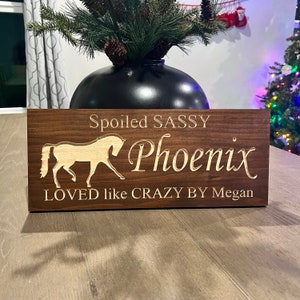 Custom Carved Wood Horse Stall Sign: Equestrian Barn Decor
