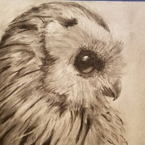 Charcoal Portraits
