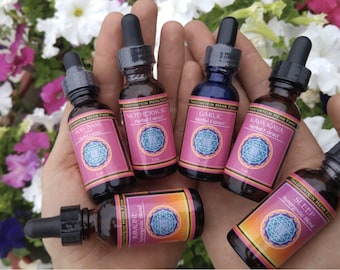 Echinacea Tincture // Extract // Organic (1 oz.)