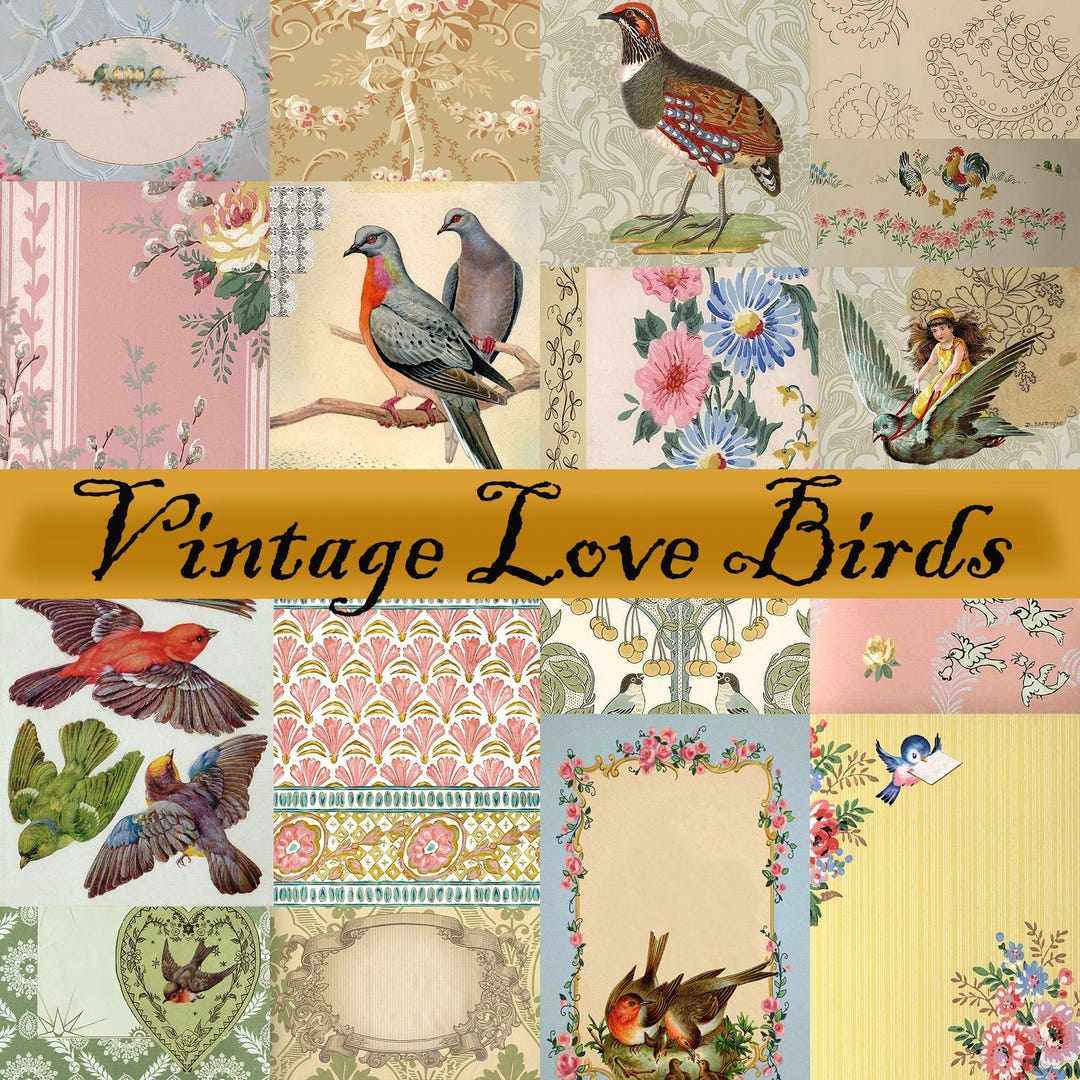 Vintage Love Birds | Vintage Decorative Paper | Journal Kit | Digital ...