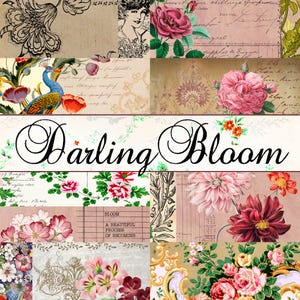 May include: A collage of vintage-style paper featuring floral illustrations, script handwriting, and a peacock. The text "Darling Bloom" is centred in black script, with a smaller box containing the text "BLOOM A BEAUTIFUL PROCESS OF BECOMING".