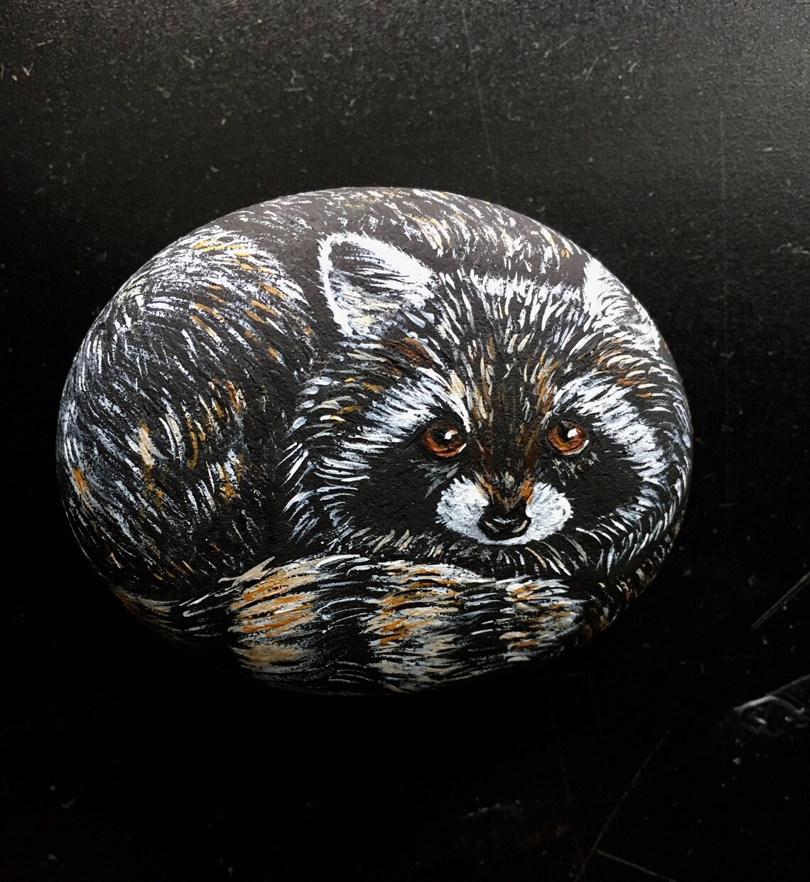 Hand Painted Raccoon Rock | Etsy