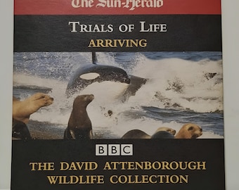 Próby życia – Przybycie – Film dokumentalny – The Sun Herald – DVD Region 4 | VGC