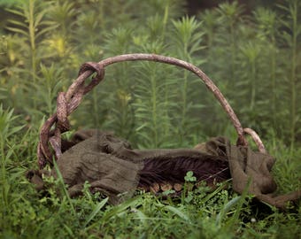 Branch Bed Outside Newborn Digital Backdrop