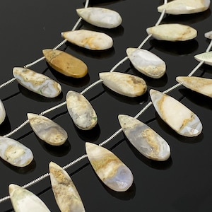 Natural Fossil Coral Gemstone Beads, Jewelry Supplies for Jewelry Making, Wholesale Beads, Bulk Beads, 7.5” Strand/ 13 Pcs