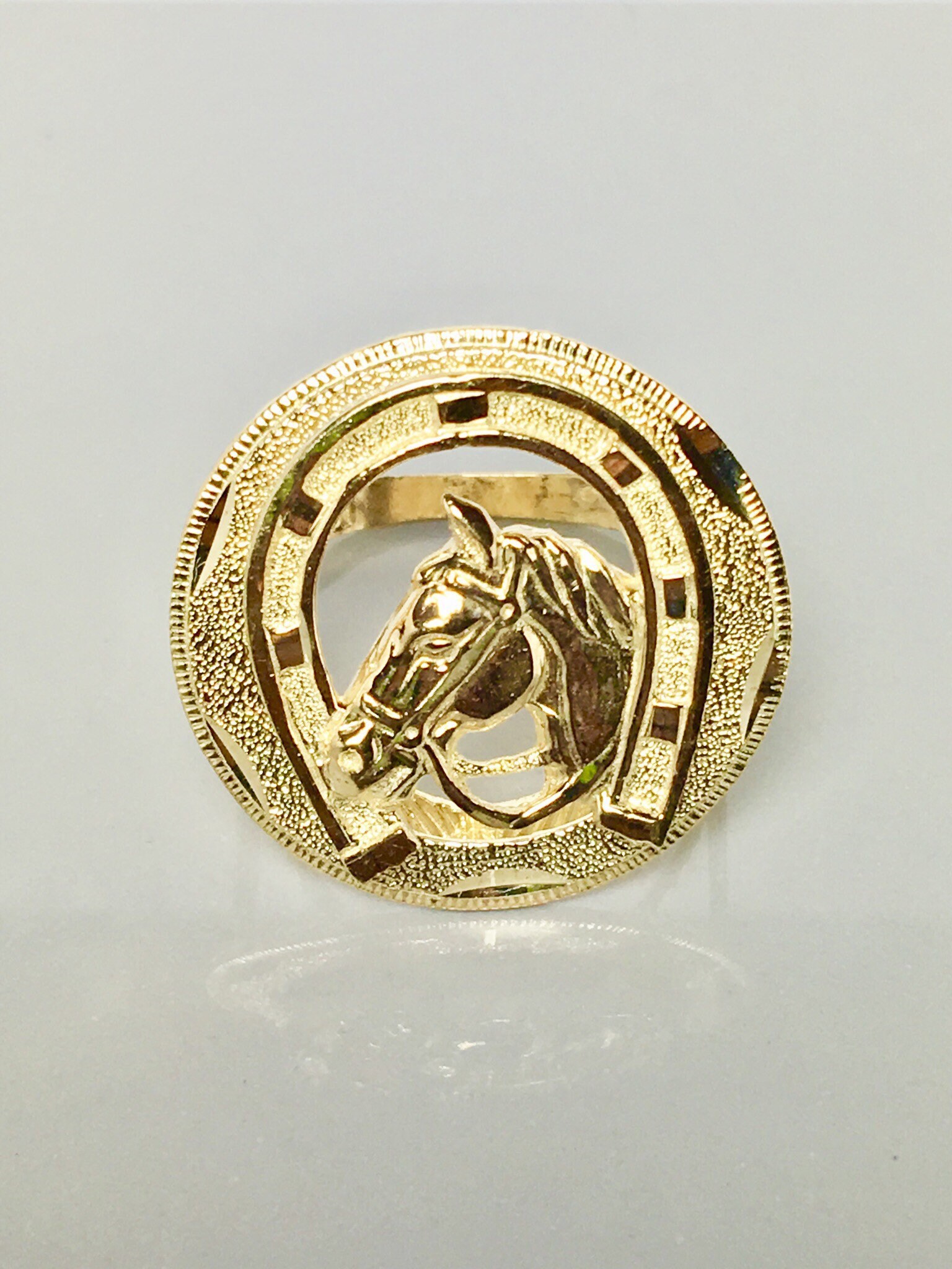 Horse Ring ubicaciondepersonas.cdmx.gob.mx