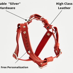 May include: Red leather dog harness with silver-coloured hardware. The harness features the word "SPARKI" and is made of high-class leather. The harness is designed for free personalisation.