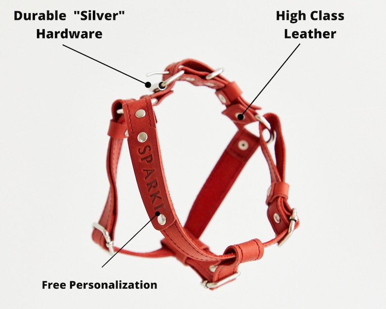 Dog Harness Leather Small Medium Large Dog Harness Etsy