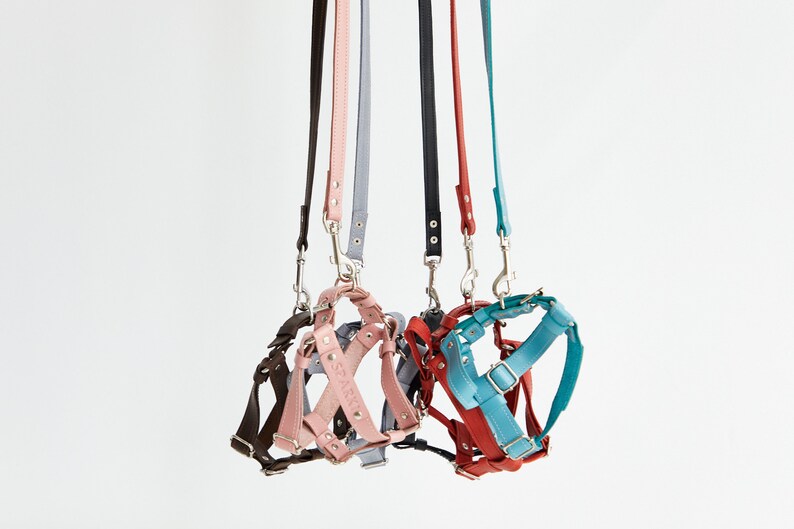Leather Dog Harness Personalized Dog Harness And Leash Set Etsy