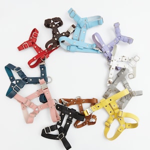 Harnais pour chien personnalisé, véritable harnais pour chien en cuir tanné végétal doux avec plaque nominative monogrammée en option, harnais réglable