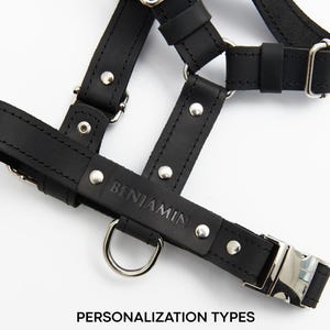 Pu&ograve; includere: Imbracatura in pelle nera con fibbie e anelli a D color argento. La parola "BENJAMIN" &egrave; impressa su un cinturino. Il testo "PERSONALIZATION TYPES" e "Name or Phone Number" &egrave; in basso.