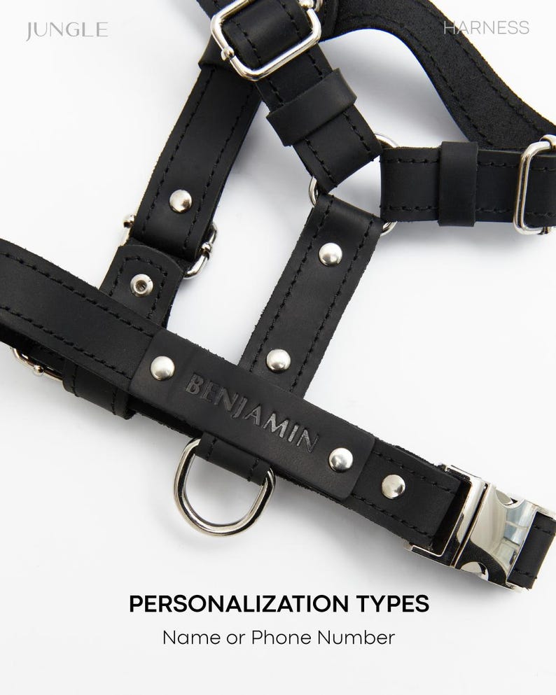 Pu&ograve; includere: Imbracatura in pelle nera con fibbie e anelli a D color argento. La parola "BENJAMIN" &egrave; impressa su un cinturino. Il testo "PERSONALIZATION TYPES" e "Name or Phone Number" &egrave; in basso.