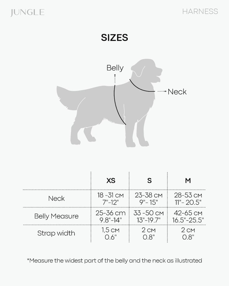 Pu&ograve; includere: Un diagramma che illustra le taglie delle pettorine per cani, etichettato XS, S e M. Le misure sono fornite in centimetri e pollici per il collo, la misura della pancia e la larghezza della cinghia. Il testo recita "JUNGLE" e "HARNESS".