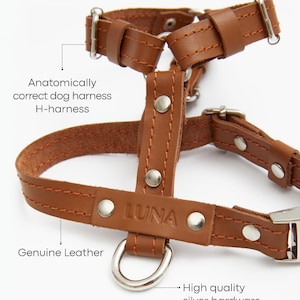 Pu&ograve; includere: Imbracatura per cani in pelle marrone con finiture argentate. L'imbracatura &egrave; etichettata "LUNA" e presenta un design a H. &Egrave; visibile anche il testo "Genuine Leather". Progettata per comfort e durata.