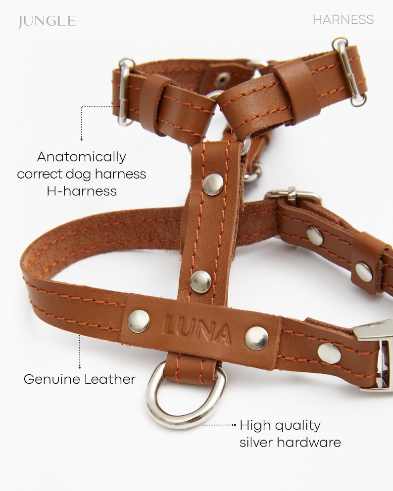 Pu&ograve; includere: Imbracatura per cani in pelle marrone con finiture argentate. L'imbracatura &egrave; etichettata "LUNA" e presenta un design a H. &Egrave; visibile anche il testo "Genuine Leather". Progettata per comfort e durata.