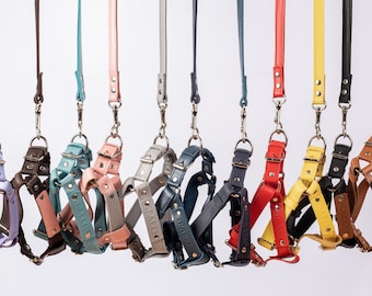 etsy harness dog