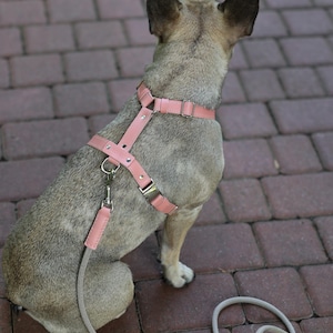 Pu&ograve; includere: Un'imbracatura per cani in pelle rosa chiaro e un set di guinzaglio abbinato. L'imbracatura &egrave; dotata di cinghie regolabili e hardware in metallo. Il cane &egrave; di colore marrone chiaro e si trova su una superficie di mattoni. Il guinzaglio &egrave; di colore grigio chiaro.