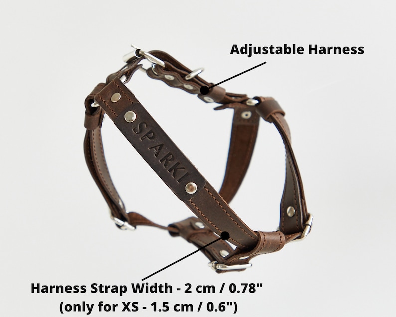 Leather Dog Harness Personalized Dog Harness and Leash Set Etsy