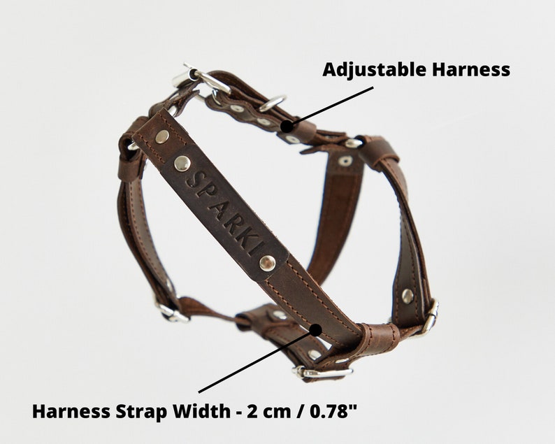 Leather Dog Harness Personalized Dog Harness And Leash Set Etsy