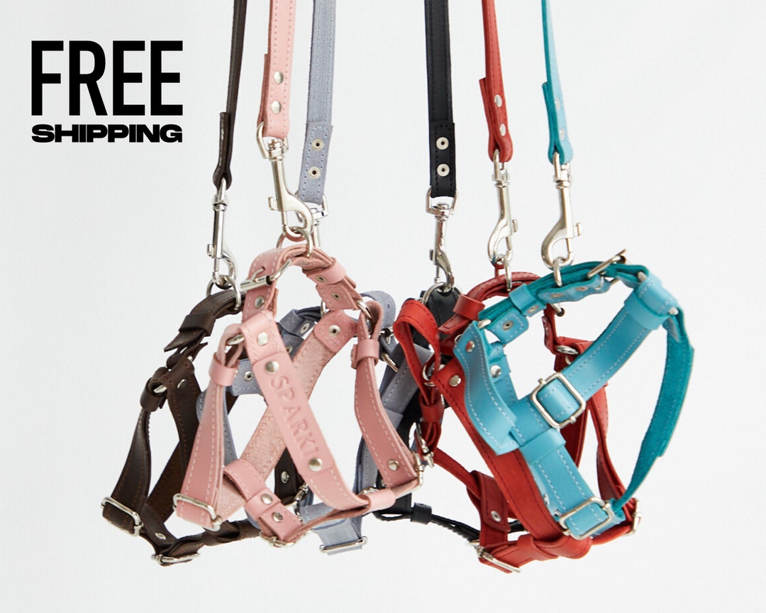 Dog Harness Leather Small Medium Large Dog Harness Personalized Dog
