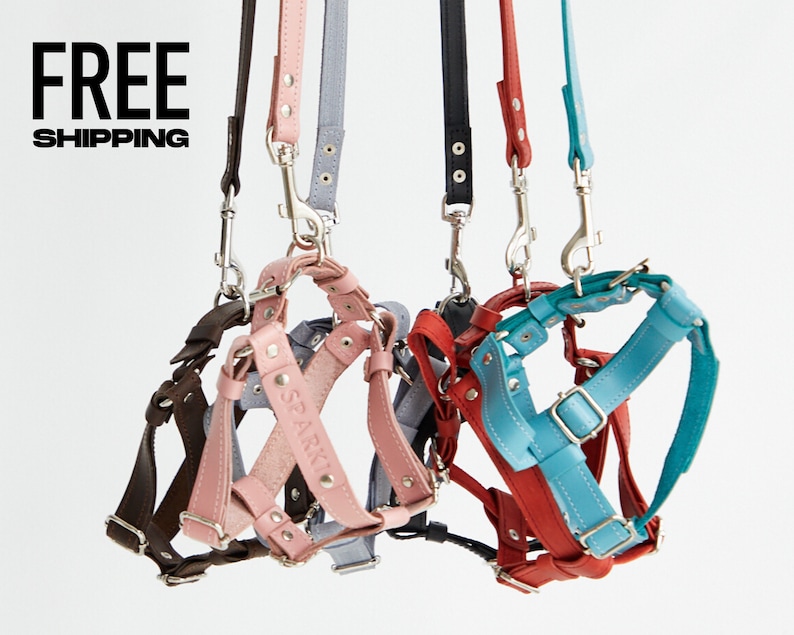 May include: A selection of dog harnesses and leads in shades of brown, pink, grey, black, red, and turquoise. The leather harnesses have silver-coloured metal fixings. One pink harness is embossed with the word "SPARKY".