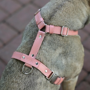 Custom H harness for dogs, genuine leather dog wear, pet name engraving, comfortable fit harness for small or medium dogs, dog birthday gift