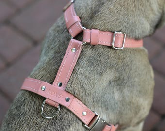Custom H harness for dogs, genuine leather dog wear, pet name engraving, comfortable fit harness for small or medium dogs, dog birthday gift