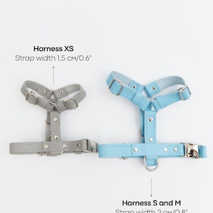 Pu&ograve; includere: Due imbracature per cani, una grigia e una azzurra, sono esposte su sfondo bianco. L'imbracatura grigia &egrave; etichettata "Harness XS" con una larghezza della cinghia di 1,5 cm. L'imbracatura blu &egrave; etichettata "Harness S and M" con una larghezza della cinghia di 2 cm.
