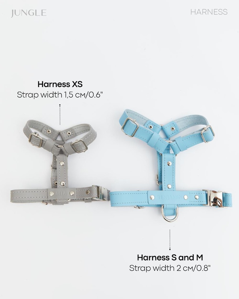 Pu&ograve; includere: Due imbracature per cani, una grigia e una azzurra, sono esposte su sfondo bianco. L'imbracatura grigia &egrave; etichettata "Harness XS" con una larghezza della cinghia di 1,5 cm. L'imbracatura blu &egrave; etichettata "Harness S and M" con una larghezza della cinghia di 2 cm.