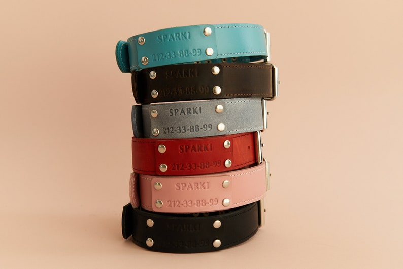 Collar de cuero para perro, collar personalizado para perro, collar de cuero para perros pequeños, medianos y grandes, collar grabado para perro, collar elegante para perro imagen 9