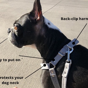 May include: A grey back-clip dog harness on a black and white Boston Terrier. The harness is easy to put on and protects the dog's neck. The harness has a metal clip for attaching a lead.