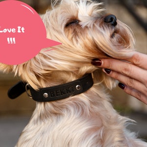 Collar de cuero para perro, collar personalizado para perro, collar de cuero para perros pequeños, medianos y grandes, collar grabado para perro, collar elegante para perro imagen 8