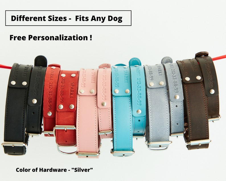 Puede incluir: Una colecci&oacute;n de collares personalizados para perros en varios colores, incluyendo negro, rojo, rosa y azul. Cada collar tiene herrajes plateados y est&aacute; grabado con un nombre y n&uacute;mero de tel&eacute;fono. Los collares se muestran colgados sobre un fondo blanco.
