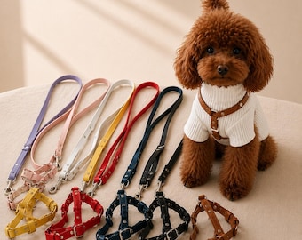 Personalized leather dog harness and leash set, engraved pet name plate, for small and medium dogs: maltipoo, pug, maltese, dachshund