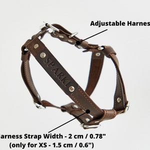 May include: A brown leather adjustable dog harness with silver hardware. The harness is embossed with the name "SPARKI". The harness strap width is 2 cm (0.78 inches), and 1.5 cm (0.6 inches) for XS.