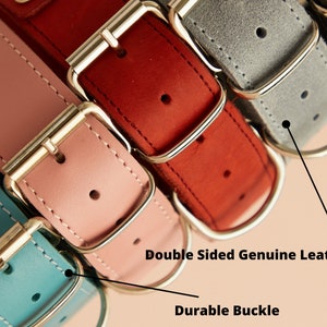 Puede incluir: Primer plano de varios collares para perros de cuero genuino de doble cara en varios colores, incluyendo rosa, rojo, gris y turquesa. Cada collar presenta una hebilla duradera y una anilla en D de metal. Los collares est&aacute;n cosidos con hilo blanco.