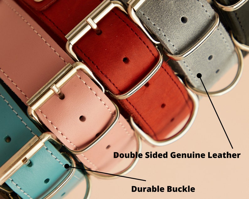 Puede incluir: Primer plano de varios collares para perros de cuero genuino de doble cara en varios colores, incluyendo rosa, rojo, gris y turquesa. Cada collar presenta una hebilla duradera y una anilla en D de metal. Los collares est&aacute;n cosidos con hilo blanco.