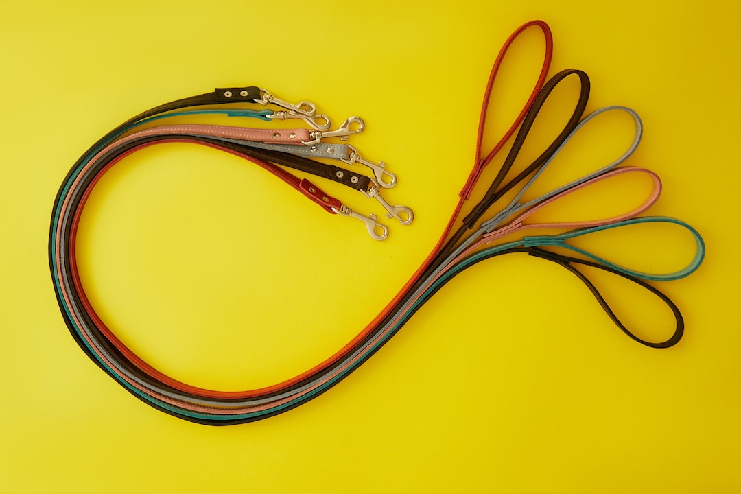 Custom Dog Leash With Name, Leather Dog Lead, Pet Leash, Personalized