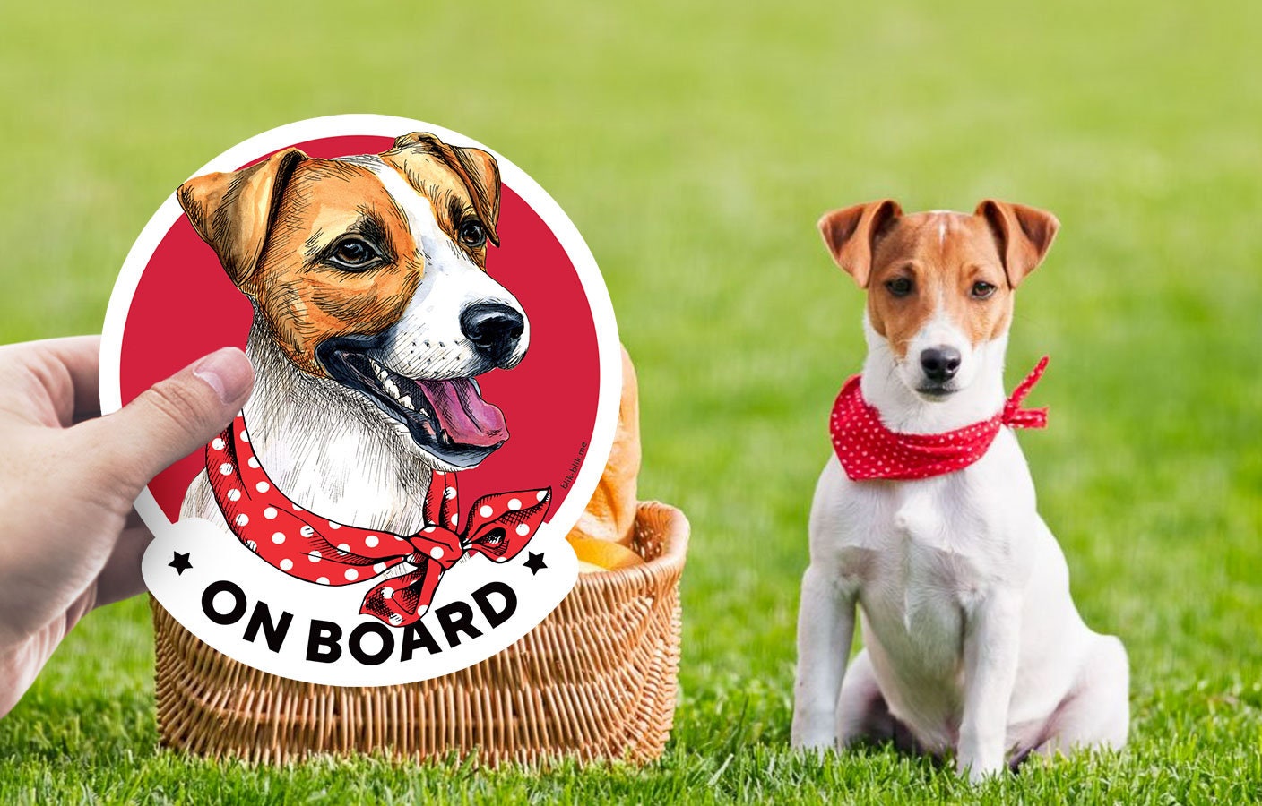 Jack Russell on Board Car Window Sticker for Women. Original Etsy