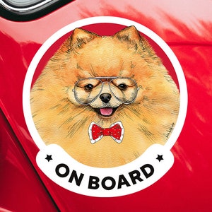 pomeranian accessories shop