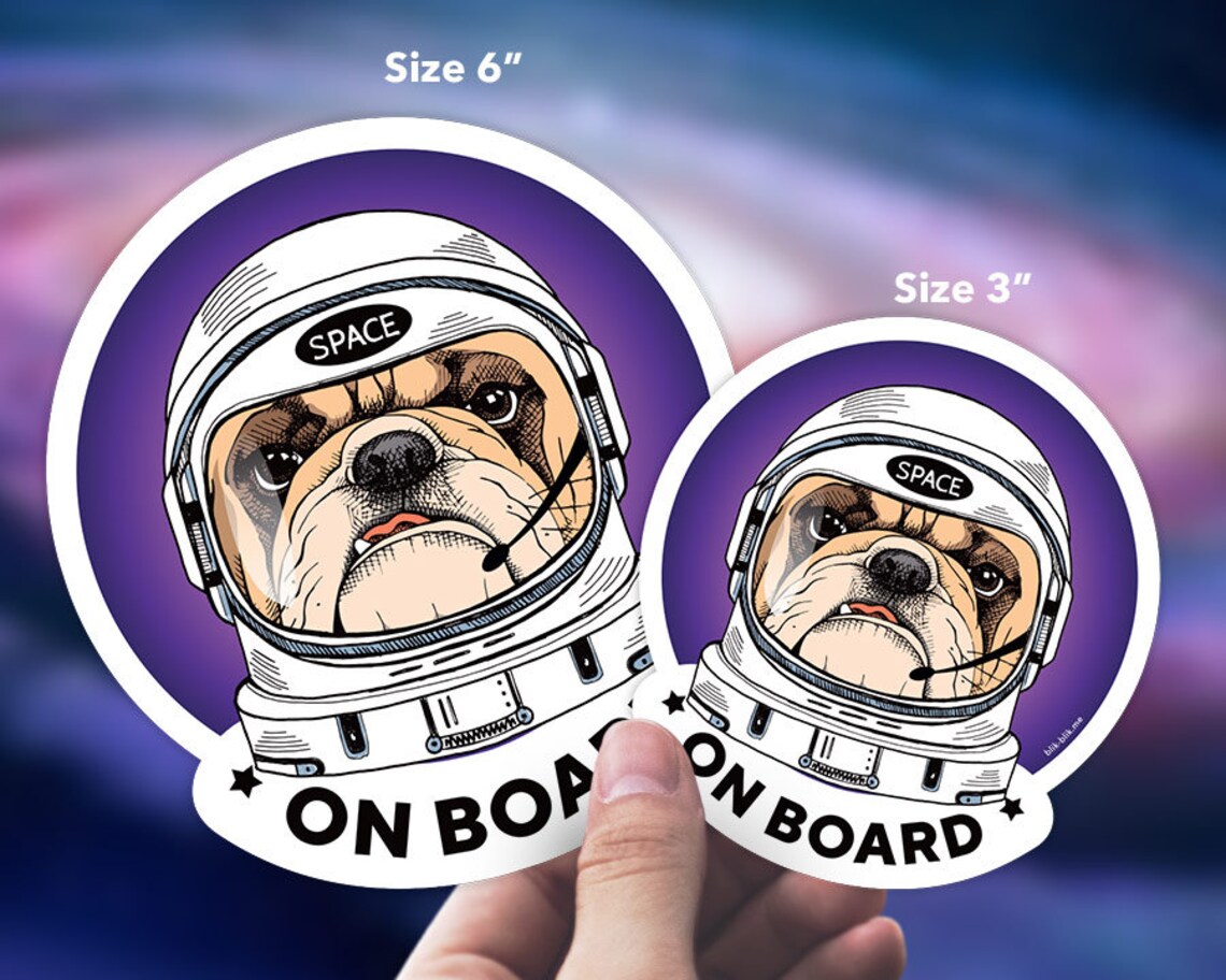 bulldog astronaut squishmallow